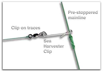 Snapper Longline Traces - The Running Trace Clip Ststem