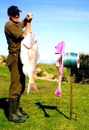 New Zealand Fishing Spots on the West Coast Mokau to Awakino