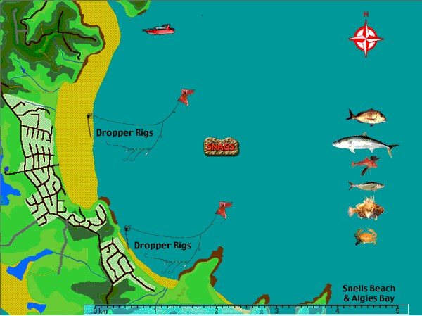 Fishing maps of Snells Beach