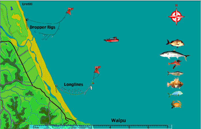 Waipu Beach Fishing Maps