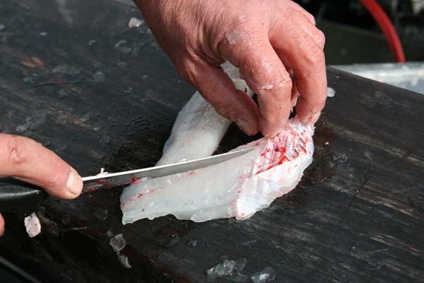 Fish Cleaning Deboning Photo