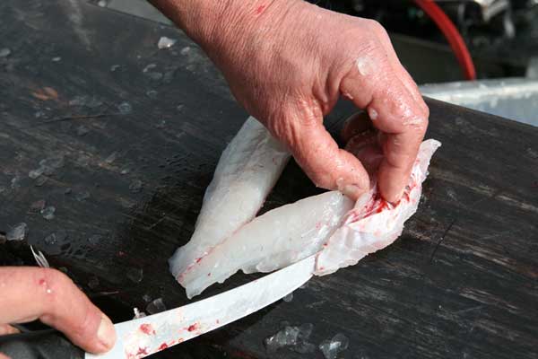 Removing Fish Gut Bones Photo 