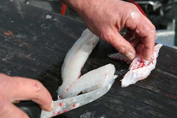Boned Fish Fillet Photo