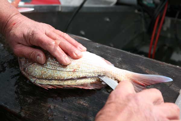 Fillet Fish Cleaning Pic