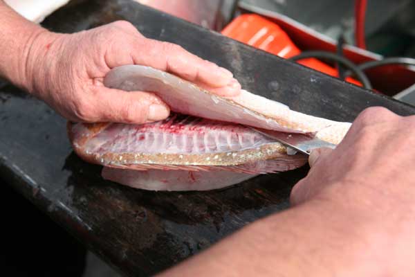 Fileting Fish Picture
