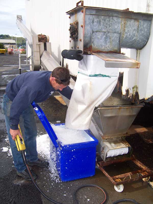 Filling a chilly bin with salt ice at the Brass Monkey Ice Plant