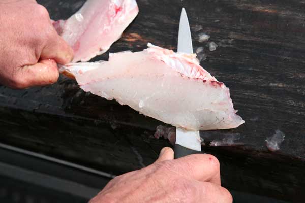 Skinning Fish Fillet Pic