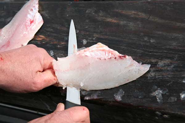 How to Skin A Fish Photo