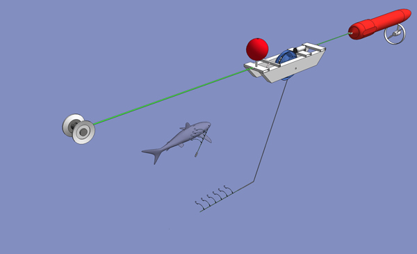 shorething hook section bitten by shark