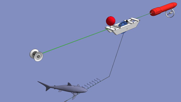 shorething shark