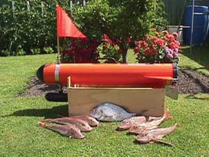 trolling motor on torpedo