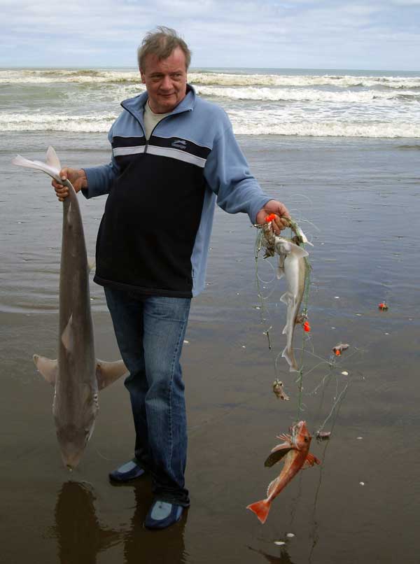 sharks tangling fishing lines up