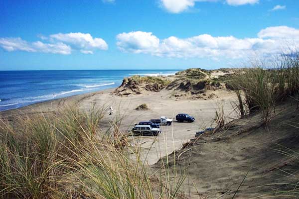 The Bombing Range at Muriwai Beach