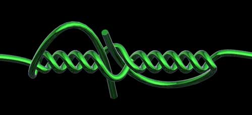 Blood Knot for joining fishing lines