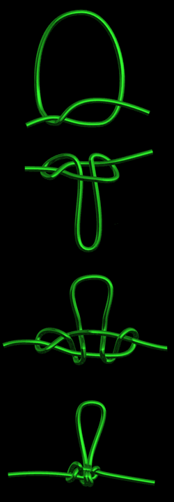 blood loop knot