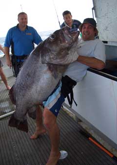 Giant sea bass caught at the three kings