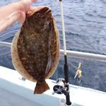 Catching Flounder on hooks