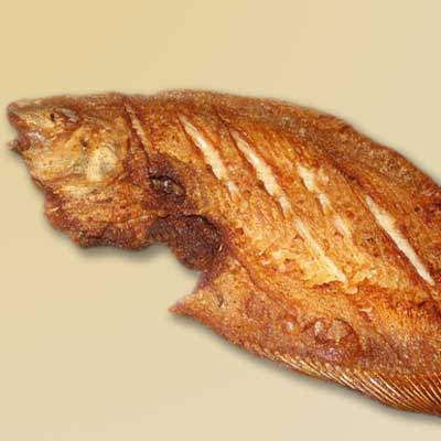fried flounder