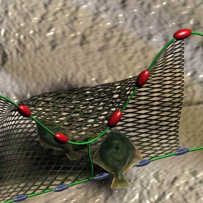 Close up view of flatfish net