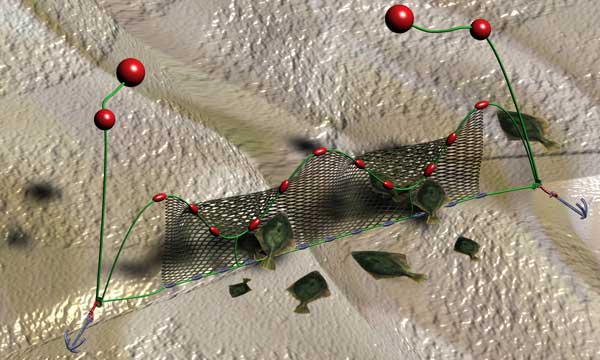 Flounder Fishing Net 3D Diagram