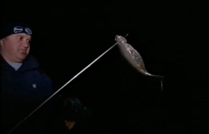 Flounder fishing at night