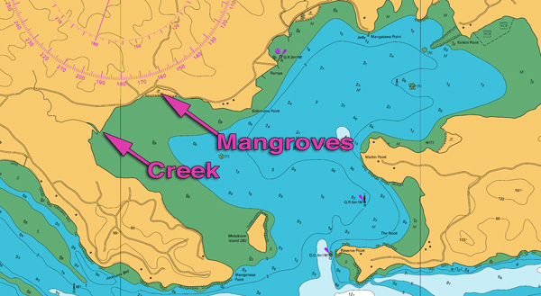 Flounder habitat - where do flounders lives
