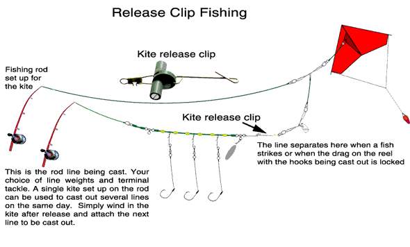 Kite Fishing Release Clips and Ledger Fishing Rigs