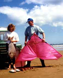 Westerly Weather