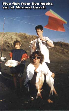 Five Fish from Five hooks