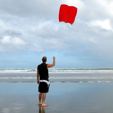Power Kite - The largest kite we make