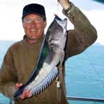 blue cod
