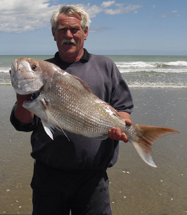 Big snapper caught kite fishing from Muriwai Beach