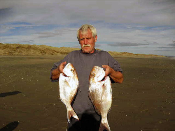 Snapper catch at Muriwai Beach