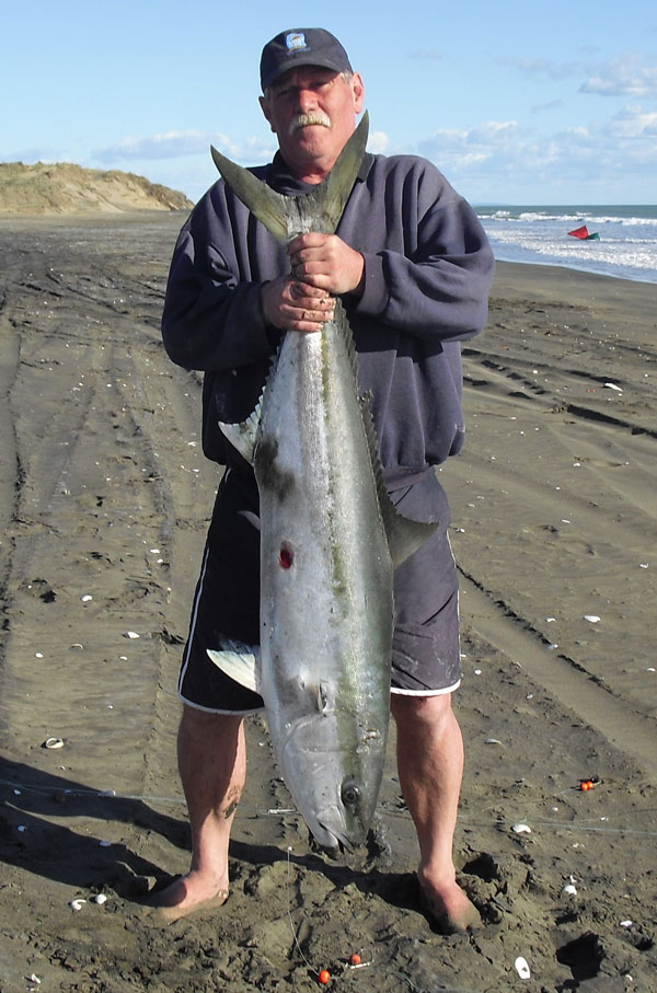 Big k caught on a kite fishing rig at Muriwai Beachingfish