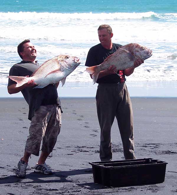 Fisherman Catching Huge Snapper