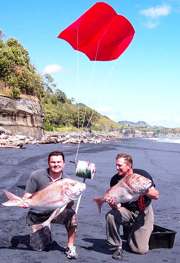 Giant Snapper Caught At Mokau