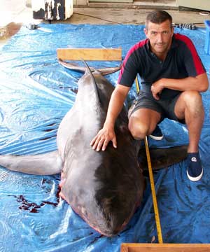 Paul Morris with a great white shark picture