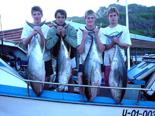 fishing tuna pictures