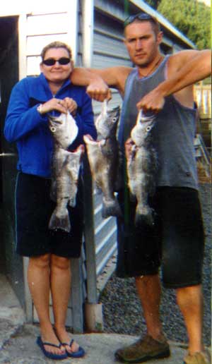 grouper pictures
