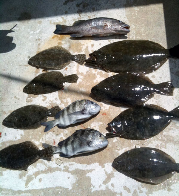Flounder Gigging Florida