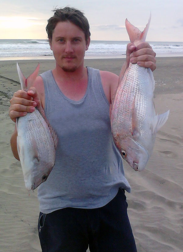 Muriwai Beach kitefishing catches