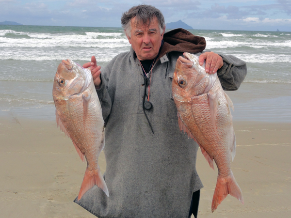Big snapper catches at Uretiti Beach