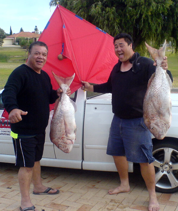 Giant snapper caught kite fishing in Australia