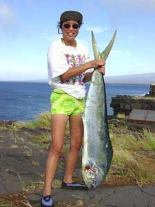 mahi mahi