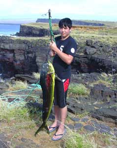 fishing mahi mahi 