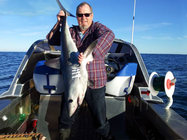 mako shark longline catch
