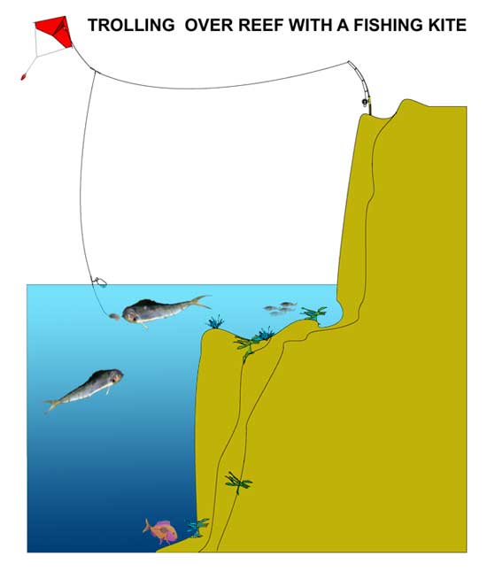 cliff top fishing rig