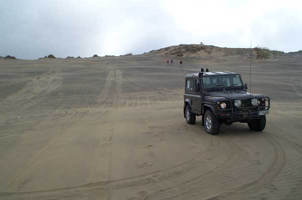 4wd off road trucks