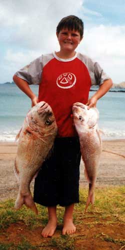 An earlier catch before the shark attack file photo